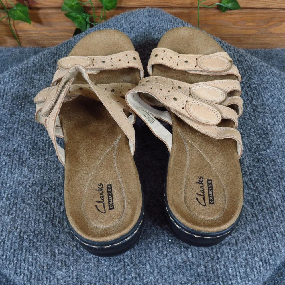 Clarks leisa cacti